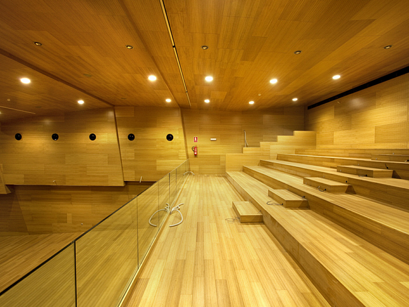 auditorio20
